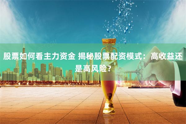 股票如何看主力资金 揭秘股票配资模式：高收益还是高风险？