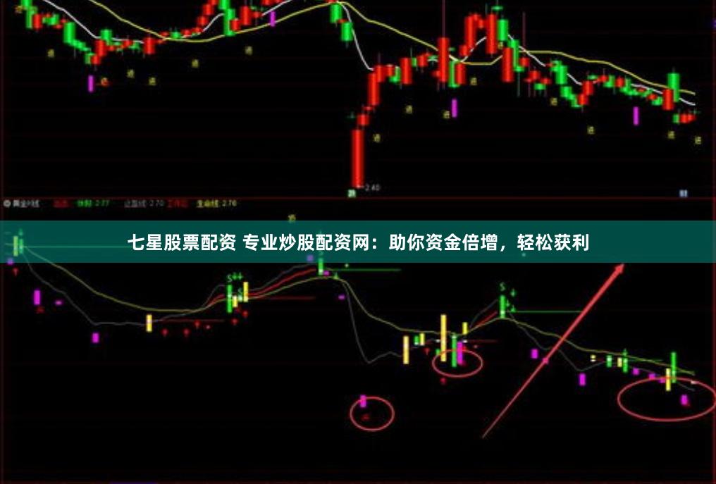 七星股票配资 专业炒股配资网：助你资金倍增，轻松获利