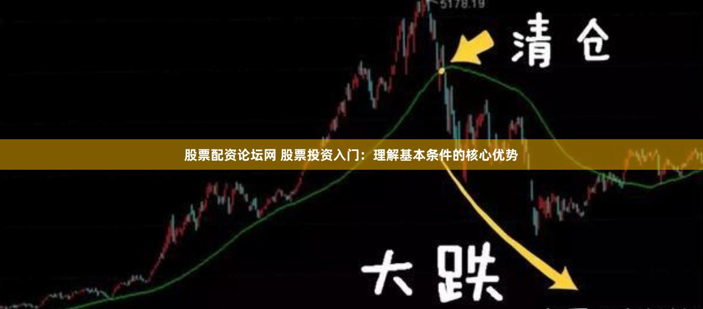 股票配资论坛网 股票投资入门:理解基本条件的核心优势