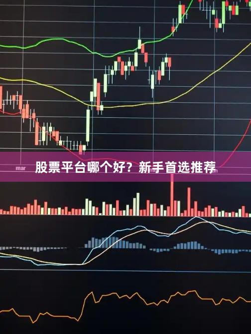 股票平台哪个好？新手首选推荐