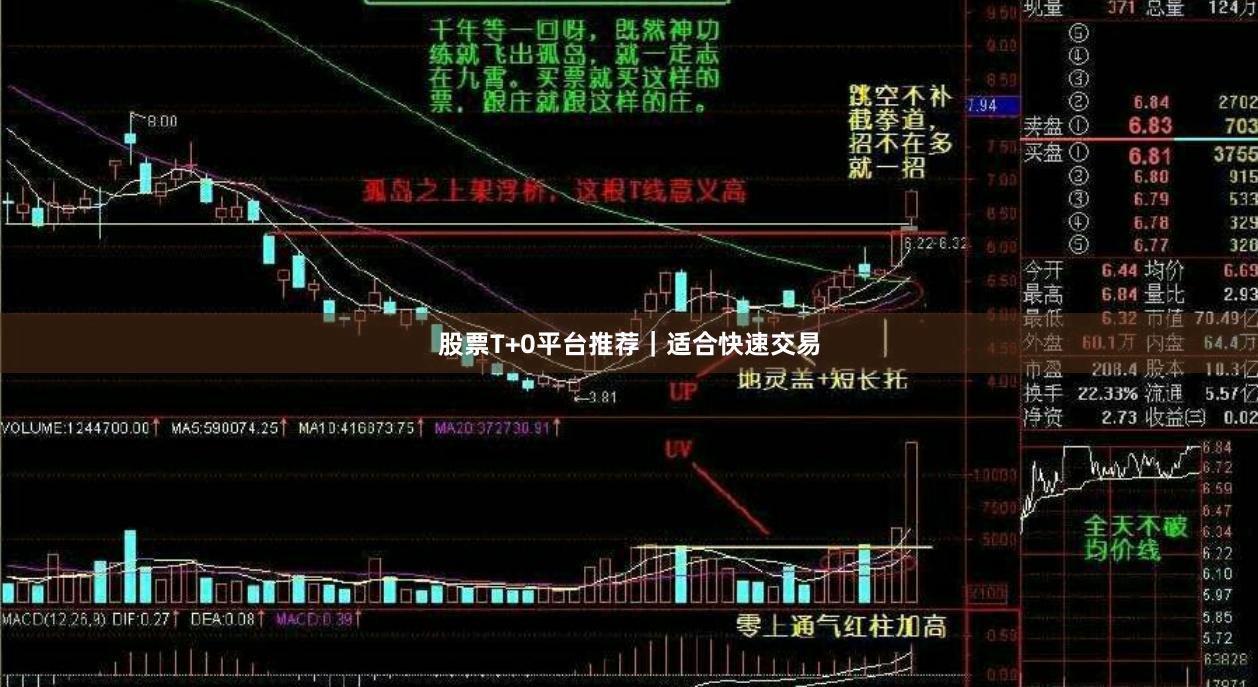 股票T+0平台推荐｜适合快速交易